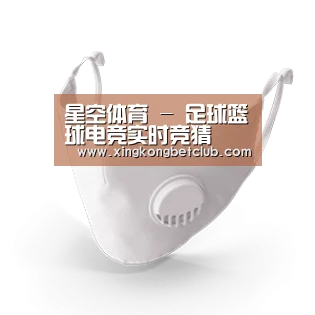 N95 口罩
